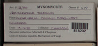 Image Associated With the Occurence
